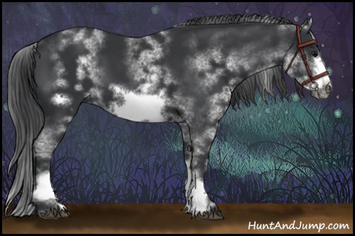 Horse Color:White Spotted Black Sabino Frame