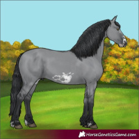 Horse Color:Grullo Chinchilla Frame 