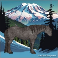 Horse Color:Smoky Black