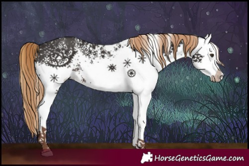 Horse Color:White Spotted Liver Chestnut