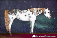 Horse Color:White Spotted Liver Chestnut 