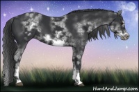Horse Color:White Spotted Black Sabino Frame