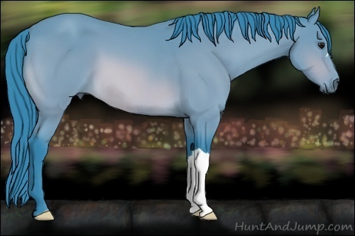 Horse Color:Watercolor Buckskin 