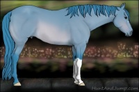 Horse Color:Watercolor Buckskin 