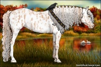 Horse Color:Gold Champagne Appaloosa  and Gold Champagne Appaloosa 
