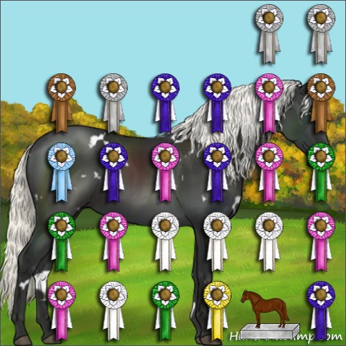 Horse Color:White Spotted Liver Chestnut Mushroom