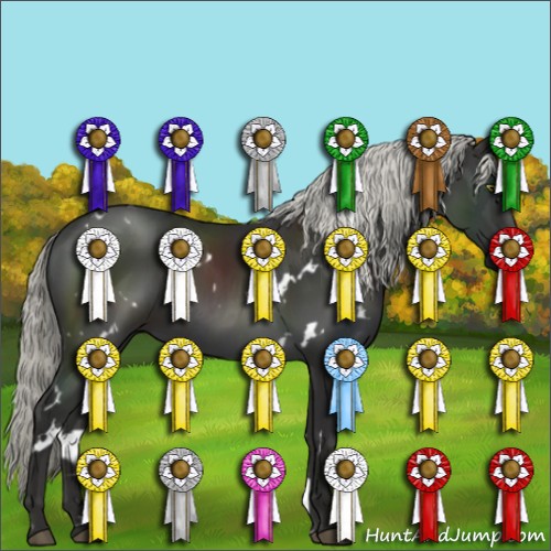 Horse Color:White Spotted Liver Chestnut Mushroom