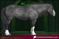 Horse Color:Black 