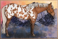 Horse Color:Silver Bay Near Leopard 