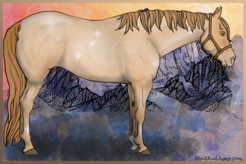Horse Color:Bay Roan Pearl