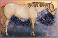 Horse Color:Bay Roan Pearl