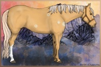 Horse Color:Palomino