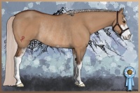 Horse Color:Silver Bay Dun Sabino Rabicano 