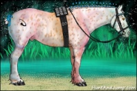 Horse Color:Silver Classic Champagne Appaloosa 