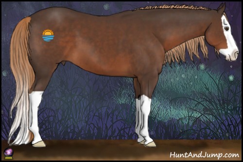 Horse Color:Liver Chestnut Splash 