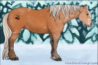 Horse Color:Silver Bay