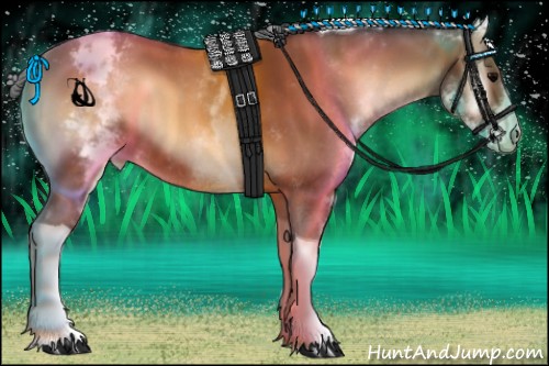 Horse Color:White Spotted Bay Onyx Tobiano Varnish