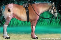 Horse Color:White Spotted Bay Onyx Tobiano Varnish