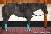 Horse Color:Smoky Black Rabicano 