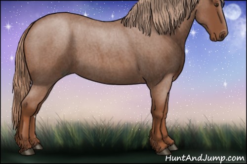 Horse Color:Red Roan 