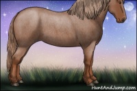 Horse Color:Red Roan 