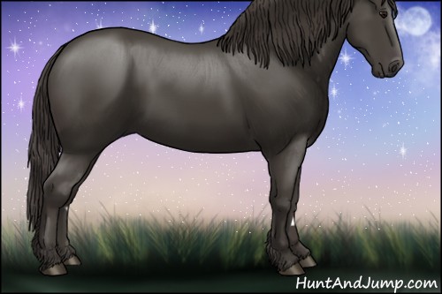 Horse Color:Smoky Black 
