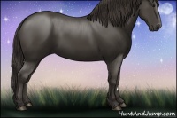 Horse Color:Smoky Black 
