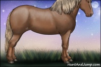 Horse Color:Chestnut Varnish 