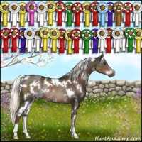Horse Color:White Spotted Liver Chestnut Rabicano 