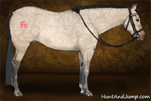 Horse Color:Bay Ice Dun 