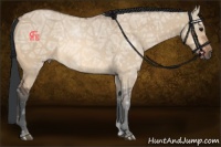 Horse Color:Bay Ice Dun 