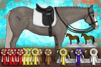 Horse Color:Silver Black Splash Rabicano