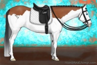 Horse Color:Bay Splash 