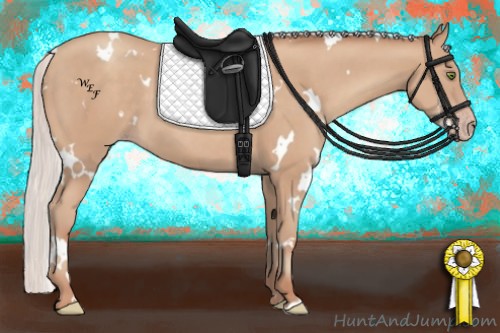 Horse Color:White Spotted Silver Classic Champagne