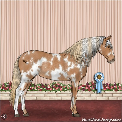 Horse Color:White Spotted Chestnut Rabicano 