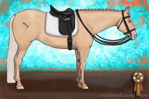 Horse Color:Silver Amber Champagne 