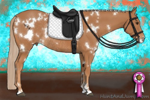 Horse Color:White Spotted Chestnut Rabicano 