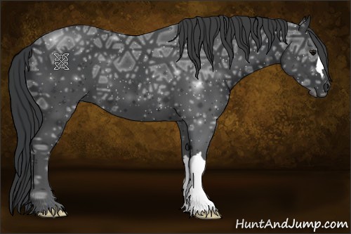 Horse Color:Black Ice 