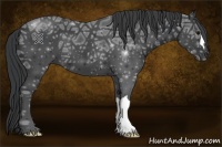 Horse Color:Black Ice 