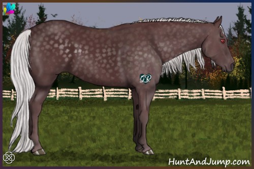 Horse Color:Chocolate Silver Black Chinchilla 