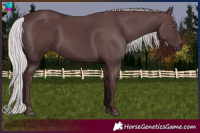 Horse Color:Chocolate Silver Black Chinchilla 