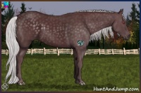 Horse Color:Chocolate Silver Black Chinchilla 