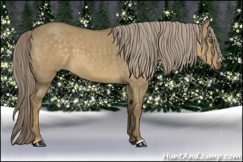 Horse Color:Chocolate Palomino Dun