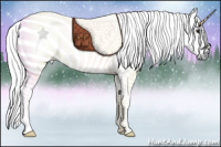 Horse Color:Gray Brown Dun Rabicano