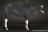 Horse Color:Black Sabino Splash 