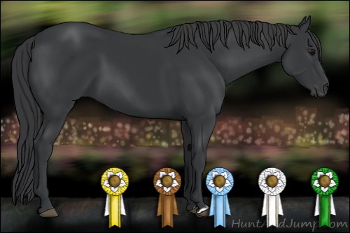 Horse Color:Black 