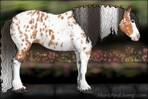 Horse Color:Bay Splash Tobiano Appaloosa  and Bay Splash Tobiano Appaloosa 