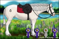 Horse Color:Cremello Ice Tobiano Rabicano 