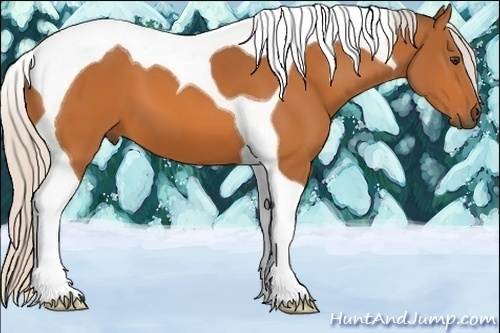 Horse Color:Silver Buckskin Tobiano 