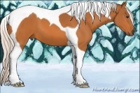 Horse Color:Silver Buckskin Tobiano 